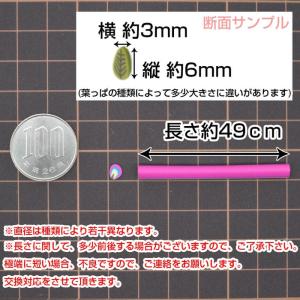 スライス棒 葉っぱ 5本セット 3 スライス棒...の詳細画像3