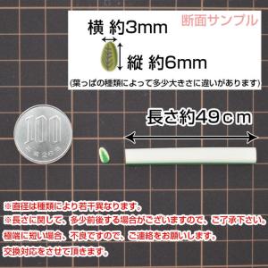 スライス棒 葉っぱ 5本セット 5 スライス棒...の詳細画像3