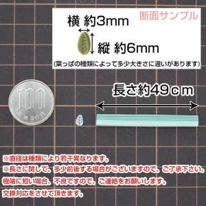 スライス棒 葉っぱ 5本セット 7 スライス棒...の詳細画像3