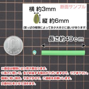 スライス棒 葉っぱ 5本セット 12 スライス...の詳細画像3