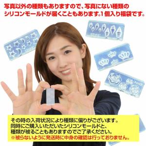3Dシリコンモールド お試しランダム 1個 シ...の詳細画像3