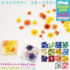 スターフラワー ガラスドーム レジン ネイル 10個入り