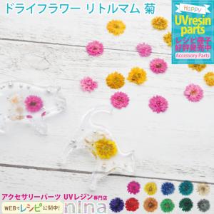 ドライフラワー リトルマム 菊 レジン ネイル ...の商品画像