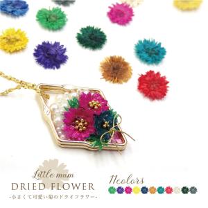 ドライフラワー リトルマム 菊 レジン ネイル...の詳細画像1