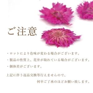 ドライフラワー リトルマム 菊 レジン ネイル...の詳細画像3