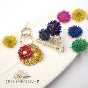 ドライフラワー リトルマム 菊 レジン ネイル...の詳細画像5