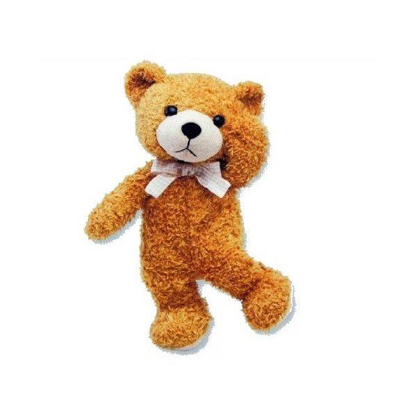 CANAL TEDDY BEAR  テディベア　MOPPY BEAR 　かなる モッピーベア L 　...