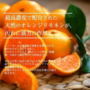 上履き 洗剤 上靴 運動靴 靴用洗剤 クツピカ...の詳細画像2