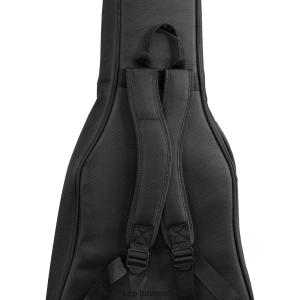 Kavaborg KAG950F Acoust...の詳細画像3
