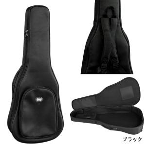 Kavaborg KAG950F Acoust...の詳細画像1