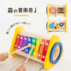 名入れ・ラッピング無料】 鉄琴 おもちゃ 楽器 二段メタルフォン 名