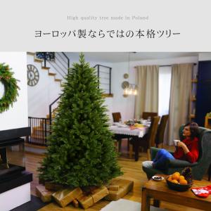 ヨーロッパメーカー「CLAREX」製の高級クリ...の詳細画像3