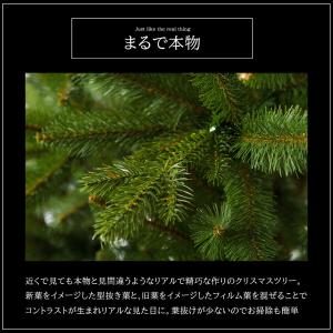 ヨーロッパメーカー「CLAREX」製の高級クリ...の詳細画像4