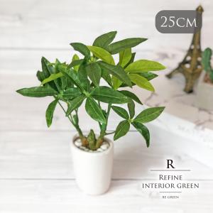 スリムパキラオーバルポット 観葉植物 フェイクグ...の商品画像