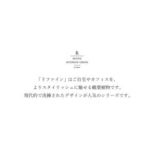 スリムパキラオーバルポット 観葉植物 フェイク...の詳細画像1