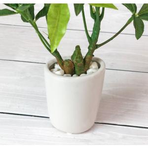 スリムパキラオーバルポット 観葉植物 フェイク...の詳細画像5