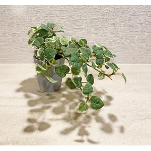 観葉植物 フェイクグリーン 人工観葉植物 プミ...の詳細画像5