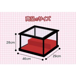雛人形 ひな人形 ケース飾り 三五五人ケース飾りの詳細画像4