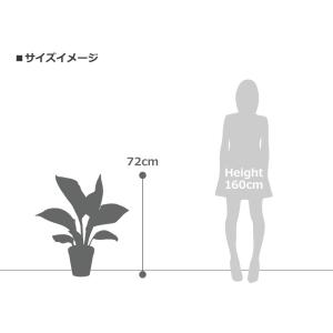 人工観葉植物 フェイクグリーン 観葉植物 造花...の詳細画像5