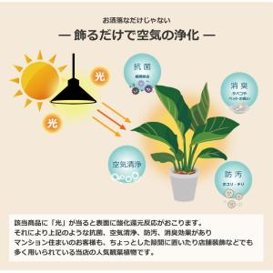 人工観葉植物 フェイクグリーン 観葉植物 造花...の詳細画像1