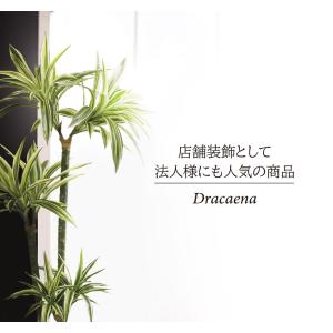 人工観葉植物 フェイクグリーン 観葉植物 造花...の詳細画像3