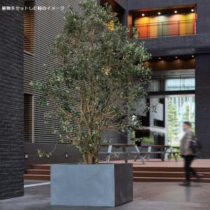 花・観葉植物用ポット マグナス ミドルキューブ...の詳細画像3