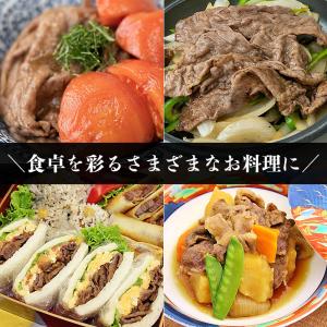 [送料無料]送料無料 和牛 牛肉 A4等級 A...の詳細画像2