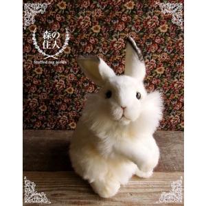 HANSA 【HANSA ウサギ30 ぬいぐるみ】兎 うさぎ ハンサ リアル 本物