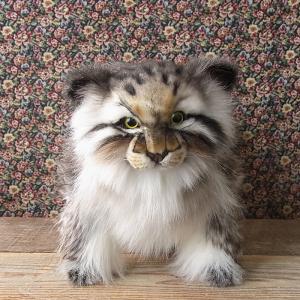 HANSA BH5012 ペルシャネコ ぺるしゃねこ 猫 ぬいぐるみ リアル 爆買