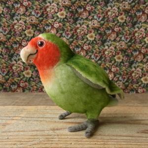 ハンサ コザクラインコ13 ぬいぐるみ 鳥 小桜 こざくら リアル 本物 そっくり