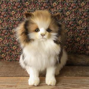置物 動物 可愛い 猫の ぬいぐるみ ノルウェージャンフォレスト