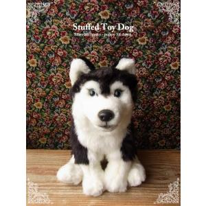 ご確認用キャバリアトライカラーぬいぐるみ ご確認用キャバリアトライカラーぬいぐるみ Amazon.co.jp