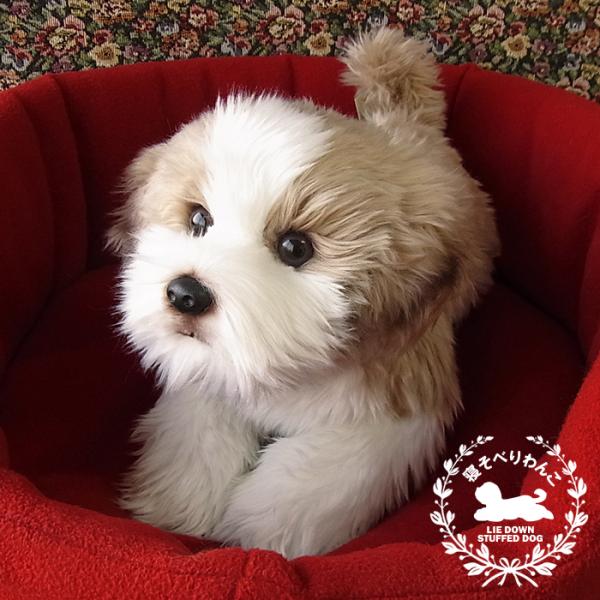 ニニアンドキノ ぬいぐるみ 犬 リアル 寝そべりわんこ シーズー 全長約40cm 本物そっくり ペッ...