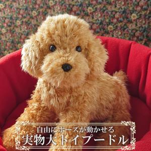 実物大 ポーズが変えられる トイプードル アプリコット レッド ぬいぐるみ 犬 リアル 本物 そっくり トイプー ペット ペットロス 小型犬 動物 いぬのぬいぐるみ｜ニニアンドキノ Yahoo!店