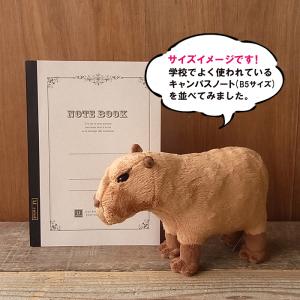カピバラ ぬいぐるみ リアルの商品一覧 通販 Yahoo ショッピング