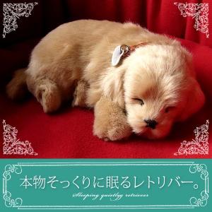 ぬいぐるみ　犬　いぬ　セリーヌ　ファースト社　レア❣️ CELINE セリーヌ ☆ ぬいぐるみ いぬ - メルカリ