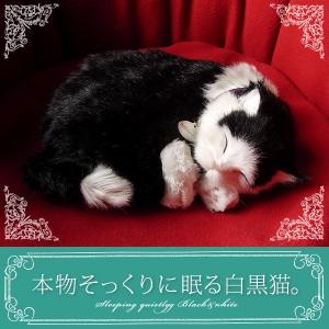 ニニアンドキノ パーフェクトペット (小サイズ) 柴犬 (黒) ぬいぐるみ