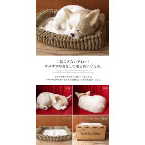 ニニアンドキノ ぬいぐるみ 犬 リアル パーフ...の詳細画像1