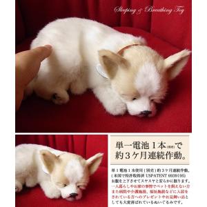 ニニアンドキノ ぬいぐるみ 犬 リアル パーフ...の詳細画像2