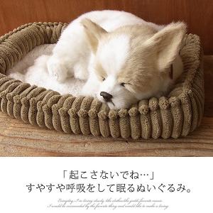 ニニアンドキノ ぬいぐるみ 犬 リアル パーフ...の詳細画像3