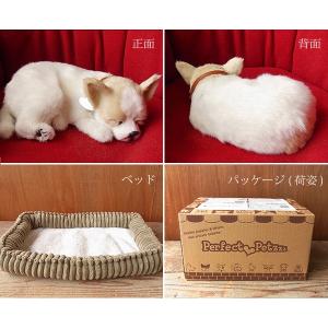 ニニアンドキノ ぬいぐるみ 犬 リアル パーフ...の詳細画像5