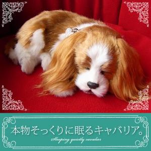 ニニアンドキノ パーフェクトペット (小サイズ) コリー シェルティ