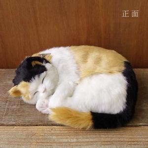ニニアンドキノ ぬいぐるみ 猫 リアル パーフ...の詳細画像2