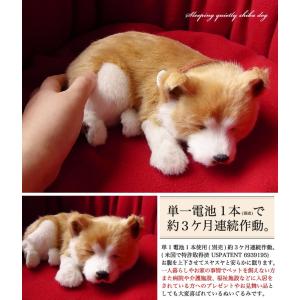 ニニアンドキノ ぬいぐるみ 犬 リアル パーフ...の詳細画像2
