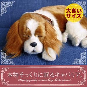 ニニアンドキノ パーフェクトペット (小サイズ) 柴犬 (黒) ぬいぐるみ