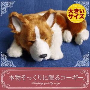 ニニアンドキノ パーフェクトペット コリー 小型犬 リアル 動物 ニニアンドキノ パーフェクトペット (小サイズ) コリー シェルティ