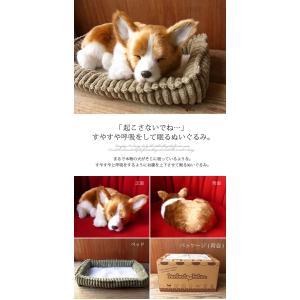 ニニアンドキノ ぬいぐるみ 犬 リアル パーフ...の詳細画像1