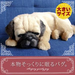 ニニアンドキノ パーフェクトペット (小サイズ) 柴犬 (黒) ぬいぐるみ