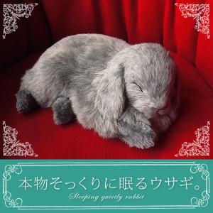 ニニアンドキノ パーフェクトペット (小サイズ) コリー シェルティ
