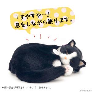 ニニアンドキノ ぬいぐるみ 猫 リアル パーフ...の詳細画像2